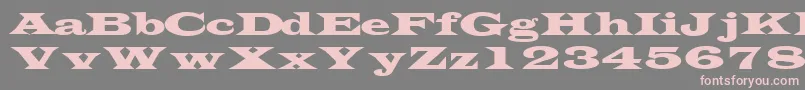 フォントTransversesskRegular – 灰色の背景にピンクのフォント