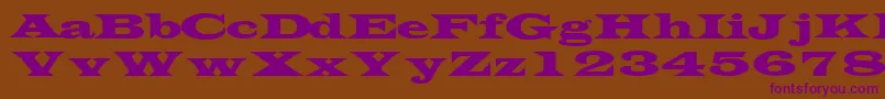 TransversesskRegular-fontti – violetit fontit ruskealla taustalla