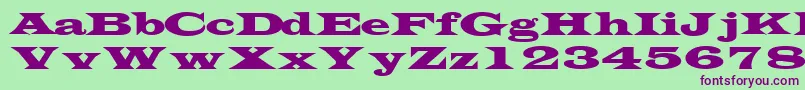 フォントTransversesskRegular – 緑の背景に紫のフォント