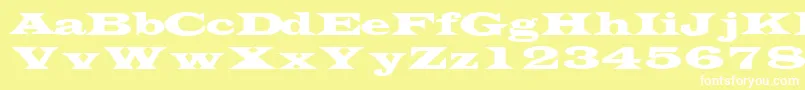 TransversesskRegular Font – White Fonts on Yellow Background