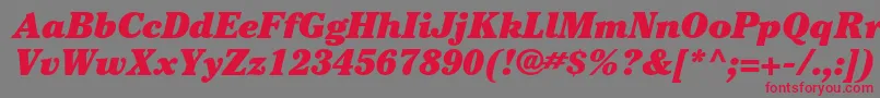 CheltenhamstdUltraitalic Font – Red Fonts on Gray Background