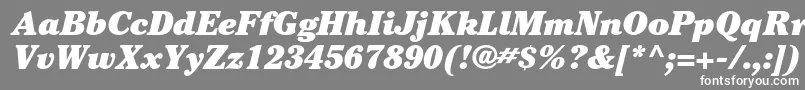 CheltenhamstdUltraitalic Font – White Fonts on Gray Background