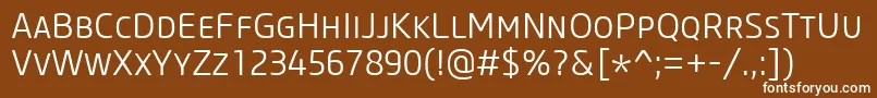Шрифт CoreSansMSc35Light – белые шрифты на коричневом фоне