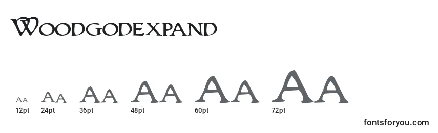 Размеры шрифта Woodgodexpand