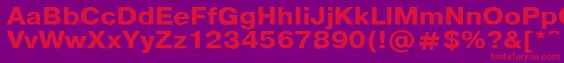 PragmaticaBold110b Font – Red Fonts on Purple Background