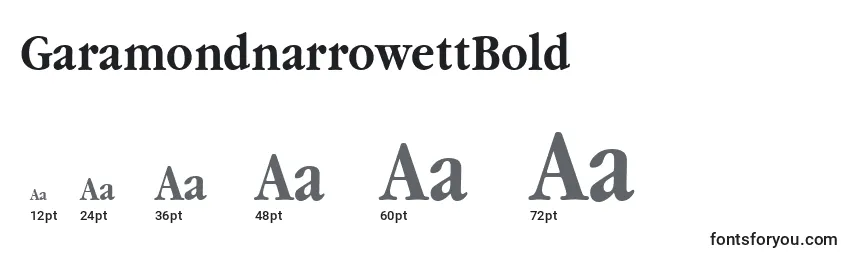 Размеры шрифта GaramondnarrowettBold