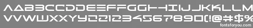 Telemarinesboldexpand Font – White Fonts on Gray Background