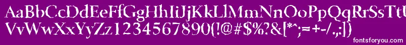BelfastrandomMediumRegular Font – White Fonts on Purple Background