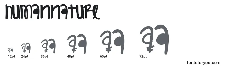 Humannature Font Sizes