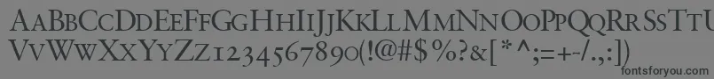 GaramondretrospectiveosscapssskRegular Font – Black Fonts on Gray Background