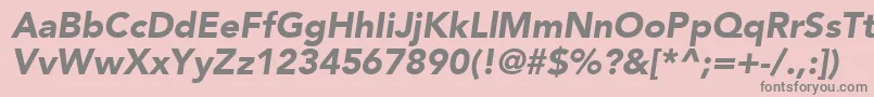 ExpoBlackSsiBlackItalic Font – Gray Fonts on Pink Background