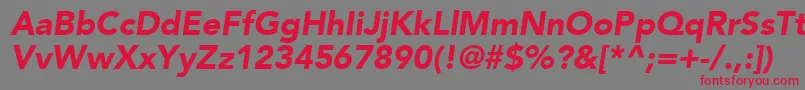 ExpoBlackSsiBlackItalic Font – Red Fonts on Gray Background