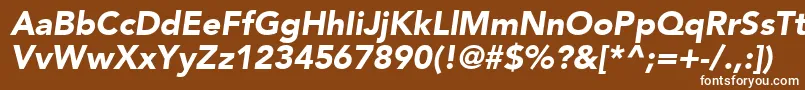 ExpoBlackSsiBlackItalic Font – White Fonts on Brown Background