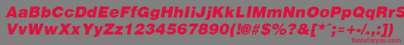 Arenablack ffy-Schriftart – Rote Schriften auf grauem Hintergrund