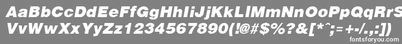 フォントArenablack ffy – 灰色の背景に白い文字