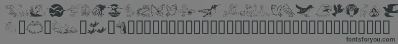 Шрифт Birdart – чёрные шрифты на сером фоне