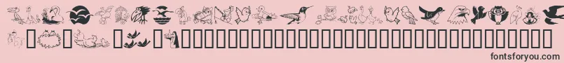 Birdart Font – Black Fonts on Pink Background