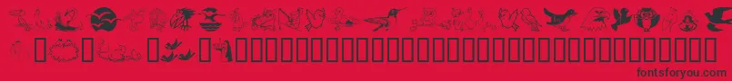 Birdart-Schriftart – Schwarze Schriften auf rotem Hintergrund