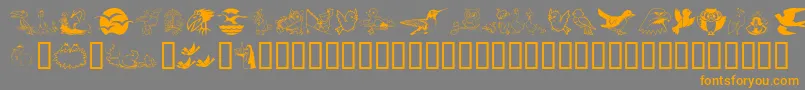 Birdart-fontti – oranssit fontit harmaalla taustalla