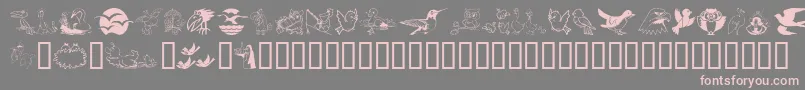 Birdart Font – Pink Fonts on Gray Background