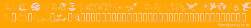 Birdart Font – Pink Fonts on Orange Background