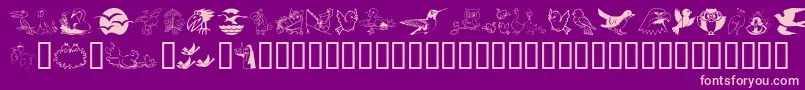 Birdart Font – Pink Fonts on Purple Background