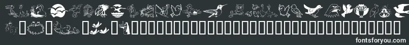Шрифт Birdart – белые шрифты на чёрном фоне