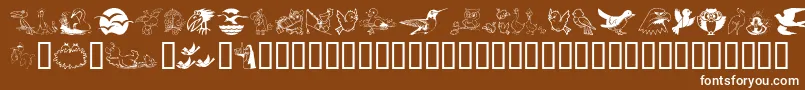 フォントBirdart – 茶色の背景に白い文字
