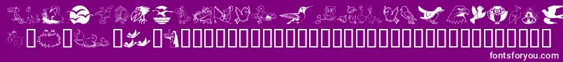 Fonte Birdart – fontes brancas em um fundo violeta