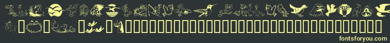 Birdart Font – Yellow Fonts on Black Background