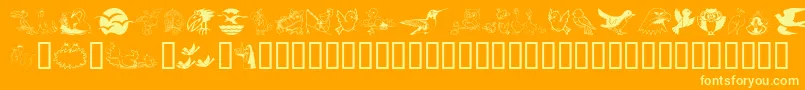 Birdart Font – Yellow Fonts on Orange Background