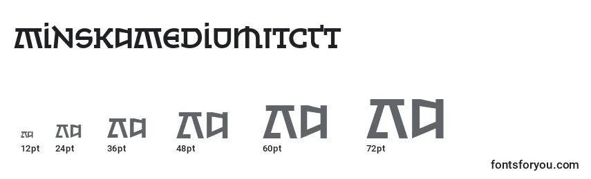 Размеры шрифта MinskaMediumItcTt