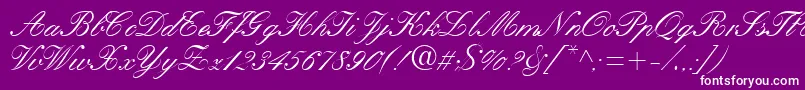 KastleaRegular-Schriftart – Weiße Schriften auf violettem Hintergrund