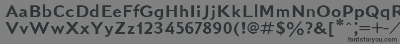 Kudrashovsansctt Font – Black Fonts on Gray Background