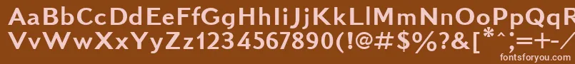 Kudrashovsansctt Font – Pink Fonts on Brown Background