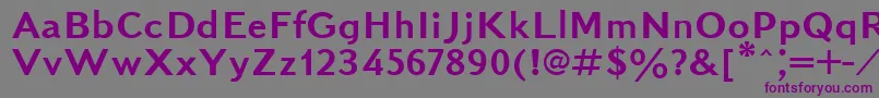 Kudrashovsansctt Font – Purple Fonts on Gray Background
