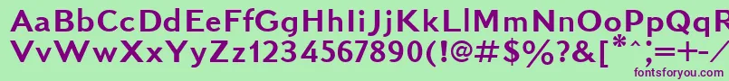 Kudrashovsansctt Font – Purple Fonts on Green Background