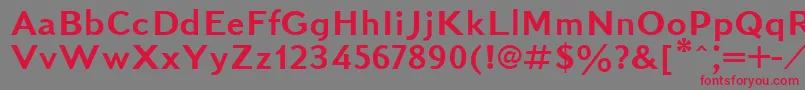 フォントKudrashovsansctt – 赤い文字の灰色の背景