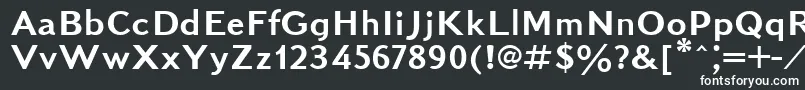 Kudrashovsansctt Font – White Fonts