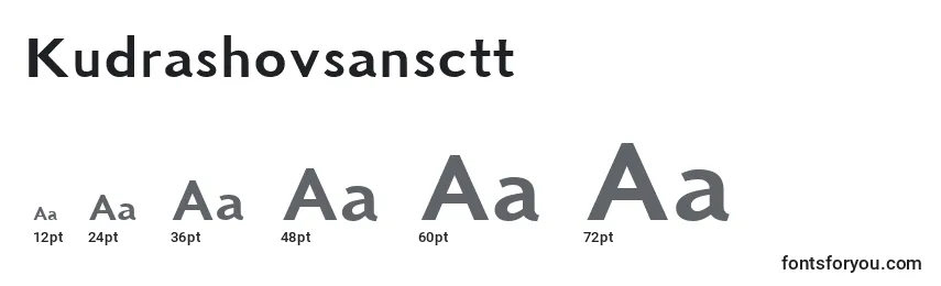 Размеры шрифта Kudrashovsansctt