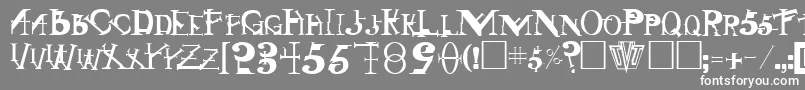 フォントSingothicRegular – 灰色の背景に白い文字