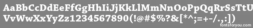 フォントChaparralproBoldcapt – 灰色の背景に白い文字