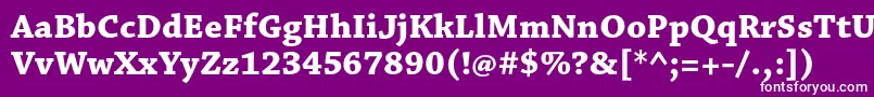 フォントChaparralproBoldcapt – 紫の背景に白い文字