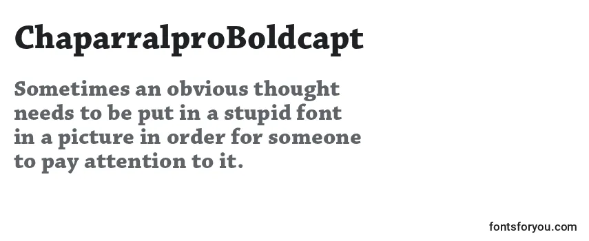 ChaparralproBoldcapt Font
