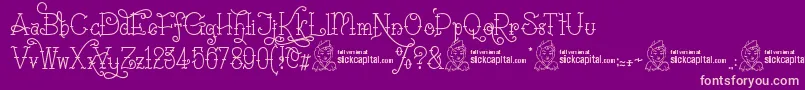 SailoretteTattoo Font – Pink Fonts on Purple Background