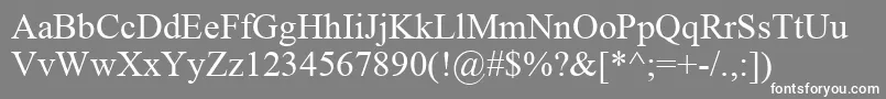 フォントTimes0 – 灰色の背景に白い文字