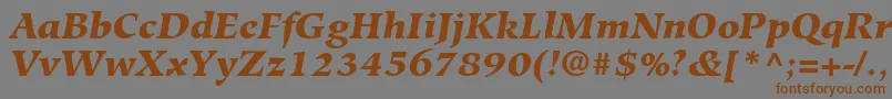 Шрифт HiroshigeLtBlackItalic – коричневые шрифты на сером фоне