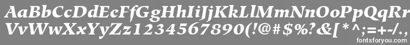 フォントHiroshigeLtBlackItalic – 灰色の背景に白い文字