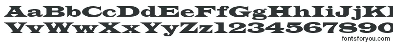 WideLatin Font – Fonts for Adobe Reader