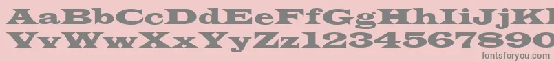 WideLatin Font – Gray Fonts on Pink Background